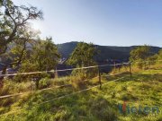 Schleiden Wunderschönes, 3707 m² großes Grundstück mit Talblick mit abrisswürdigem Gebäude in Ortsrandlage Haus kaufen