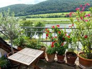 Zeltingen-Rachtig sofort bezugsfertig! Romantisches kleines Haus mit Moselblick und schöner Moselblick-Terrasse Haus kaufen
