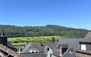 Zeltingen-Rachtig Zwei Wohnhäuser in Zeltigen an der Mosel (hochwasserfrei) mit 233 qm Wohnfläche Haus kaufen