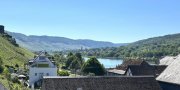 Zeltingen-Rachtig Zwei Wohnhäuser in Zeltigen an der Mosel (hochwasserfrei) mit 233 qm Wohnfläche Haus kaufen