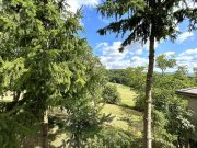 Altrich zwei Wohnhäuser und rd. 20.000 qm Land direkt am Haus (Nähe zur Stadt Wittlich 5 km) Haus kaufen