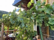 Gerolstein Campingplatz, Zimmervermietung und Gastronomie - gepflegte Familienexistenz in der Eifel Gewerbe kaufen