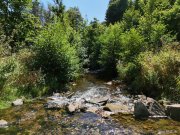 Gerolstein Campingplatz, Zimmervermietung und Gastronomie - gepflegte Familienexistenz in der Eifel Gewerbe kaufen