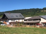 Rehborn Top-Gelegenheit! Reiterhof mit Stallungen, Reithalle und 5 Wohneinheiten zu verkaufen! Gewerbe kaufen