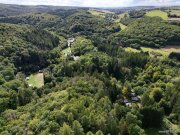 Bockenau Naturcampingplatz in der Weinregion Nahe - mit Mietobjekten, Betreiberunterkunft und Restaurant Gewerbe kaufen