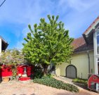 Hargesheim TOP-GELEGENHEIT! Repräsentative Immoblie mit schönem Grundstück in Hargesheim zu verkaufen Gewerbe kaufen