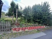 Bermel Bastler-/ Handwerkerhaus mit Garten Haus kaufen