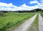 Auderath Eifel-Bauernhaus im ruhigen Ort Nähe Ulmen mit 3.134 qm Land, Scheune, Stallungen und Bauland Haus kaufen