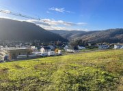 Traben-Trarbach exzelentes Baugrundstück 933 qm (erschlossen) in Traben mit Fernsicht über die Mosel und Weinberge Grundstück kaufen