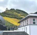 Traben-Trarbach Ferien-Wohnhaus oder Familien-Wohnhaus in Traben-Trarbach/Mosel vollständig Möbeliert Haus kaufen