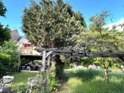 Enkirch historisches Fachwerk-Winzer-Haus mit Weinbergsblick über die Mosel Haus kaufen