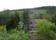 Bullay Wohnen am "Tor zur Mittelmosel" Haus kaufen