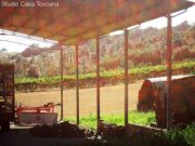 Pomonte Haus auf dem Land mit 15ha Land, Weinberg und Olivenhain Haus kaufen