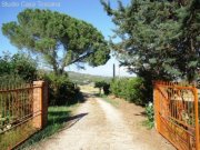 Pomonte Haus auf dem Land mit 15ha Land, Weinberg und Olivenhain Haus kaufen