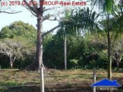 Sosua Baugrundstück in beliebter Wohngegend! Grundstück kaufen