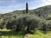 Caldana Olivenhain Grundstück kaufen