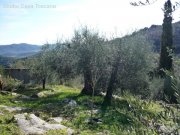 Caldana Olivenhain Grundstück kaufen