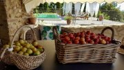Massa Marittima Landhaus mit Pool in Toplage Haus kaufen