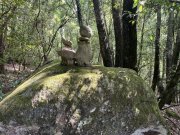 Sassofortino Magischer Rückzugsort im Herzen der Maremma mit Wasserfall, Wald und Stille Haus kaufen