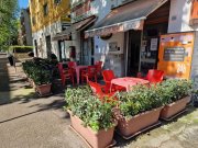 grosseto Gewerbe kaufen