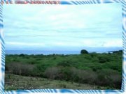 Estero Hondo Schönes Grundstück mit 211 Tareas Grundstück kaufen