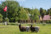 Marstal Wunderschönes Resthof auf der Insel Ærø in Dänemark! Haus kaufen