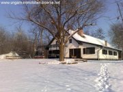 Kikunmajsa Für Lebensgeniesser: rustikale Villa mit Grundstück im Wald Haus kaufen