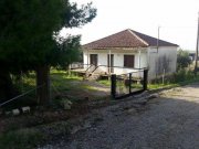 Eleochoria - Chalkidiki Renovierung bedürftiges Ferienhaus in Eleochori Chalkidike zum Sonderpreis Haus kaufen