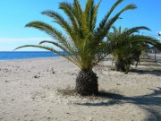 Nea Plagia Chalkidiki Einmaliger Preis 39.000 Euro ohne Verhandlungen Ferienwohnung in Nea Plagia Chalkidiki Wohnung kaufen