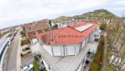 Heppenheim (Bergstraße) ATIK: Exklusives, lichtdurchflutetes Penthouse mit Charme in Heppenheim Wohnung kaufen