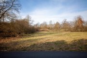 Dieburg DIETZ: Bungalow mit 4 Zimmern in TOP-Randlage von Dieburg mit Garage / Car-Port und Keller Haus kaufen
