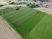 Groß-Umstadt DIETZ: 1,5 Hektar Ackerland nahe der Bebauungsgrenze von Groß-Umstadt Ortsteil Semd zu verkaufen! Grundstück kaufen