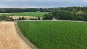 Groß-Umstadt DIETZ: Ackerlandfläche direkt an einer Landstraße zu verkaufen zwischen Groß-Umstadt und Münster! Grundstück kaufen