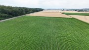 Groß-Umstadt DIETZ: Ackerlandfläche direkt an einer Landstraße zu verkaufen zwischen Groß-Umstadt und Münster! Grundstück kaufen