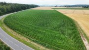 Groß-Umstadt DIETZ: Ackerlandfläche direkt an einer Landstraße zu verkaufen zwischen Groß-Umstadt und Münster! Grundstück kaufen