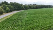 Groß-Umstadt DIETZ: Ackerlandfläche direkt an einer Landstraße zu verkaufen zwischen Groß-Umstadt und Münster! Grundstück kaufen