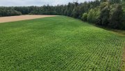 Babenhausen DIETZ: Ackerlandfläche zwischen Harpertshausen, Altheim und Richen zu verkaufen Grundstück kaufen