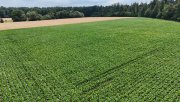 Babenhausen DIETZ: Ackerlandfläche zwischen Harpertshausen, Altheim und Richen zu verkaufen Grundstück kaufen