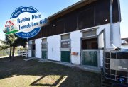 Babenhausen DIETZ: **VERKAUFT** Platz Für Ross und Reiter! Wohnhaus + Gewerbegebäude mit 6 Pferdestallungen Gewerbe kaufen