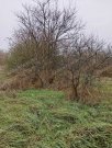 Gara Möbliertes Einfamilienhaus aus gemischten Ziegelsteinen im Zentrum von Gara mit großem Grundstück und ruhiger Umgebung zu