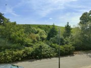 Eltville am Rhein Großzügiges EFH, herrlicher Garten, 2 Garagen in idyllischer Weinbergslage von Eltville-Hattenheim Haus kaufen