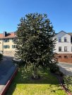 Eppstein Einziehen, wohlfühlen, erweitern – Haus mit Möglichkeiten Haus kaufen