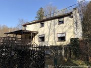 Saarbrücken Grüne Oase - Alleinlage mitten in Saarbrücken mit viel Potential Haus kaufen
