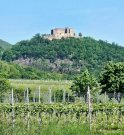 Maikammer Ein verstecktes Juwel, angrenzend an die Weinberge mit Blick auf das Hambacher Schloss Grundstück kaufen