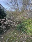 Kaiserslautern Beste Wohnlage - ruhig mitten im Wald und doch Großstadtnah - hier kann man sich ein Heim bauen! Grundstück kaufen