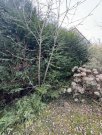 Kaiserslautern Beste Wohnlage - ruhig mitten im Wald und doch Großstadtnah - hier kann man sich ein Heim bauen! Grundstück kaufen