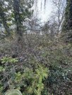 Kaiserslautern Beste Wohnlage - ruhig mitten im Wald und doch Großstadtnah - hier kann man sich ein Heim bauen! Grundstück kaufen