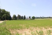 Wentzwiller FRANCE -Ein Garten wie ein Park - Ruhe, Raum und Natur. Haus kaufen