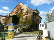 Biesheim Gärtnerei mit beheizten Gewächshäusern und Zweifamilienhaus - im Elsass Gewerbe kaufen