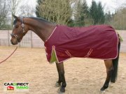 Volgelsheim 6000 m² Grundstück, Nebengebäude, u. Wohnhaus im Elsass - 4 km v/Breisach am Rhein Haus kaufen